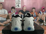 Nike LeBron Basketball Shoes White Blue