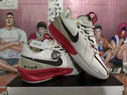 Nike Basketball Sneakers White Black Red Snake Year