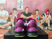 Nike Assassin Basketball Sneakers Pink Purple Green
