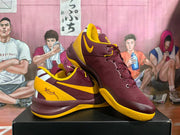 Nike USC Basketball Shoes in Burgundy and Gold