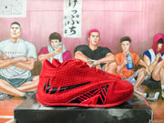 Nike LeBron Basketball Shoes in Red and Black