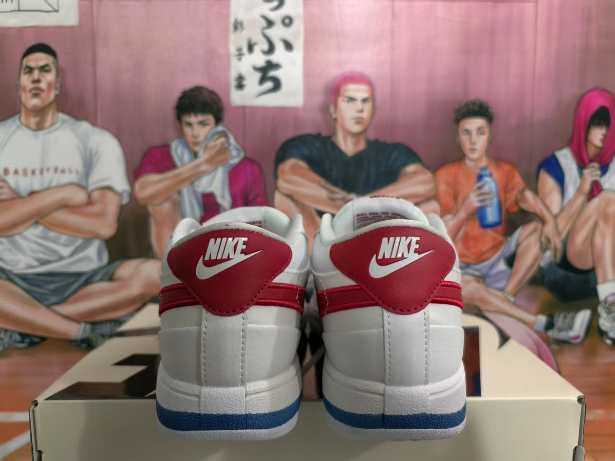 Nike Low-Top Sneakers White Red and Blue