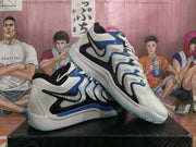 Nike LeBron Basketball Shoes White Blue