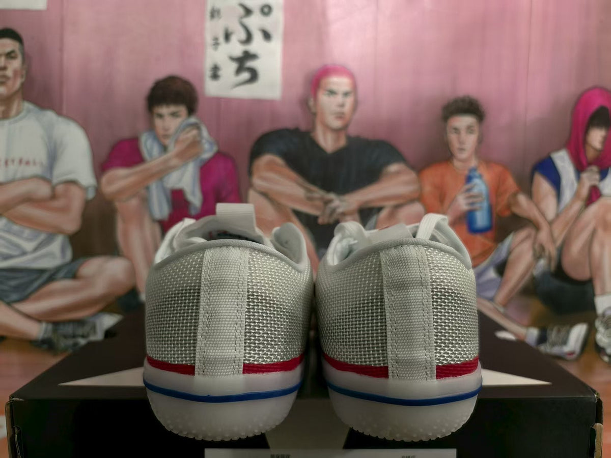 Converse White Blue Red Low-Top Sneakers