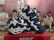 Nike White and Dark Blue Sneakers
