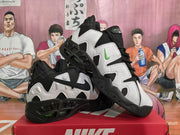 Nike Black and White Lifestyle Sneakers