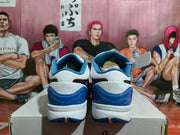 Nike Blue and White Basketball Sneakers