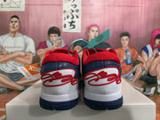 Nike Basketball Sneakers White Blue Red