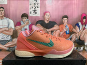 Nike Kobe 6 Basketball Shoes in Coral and Teal
