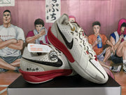 Nike Basketball Shoes in White, Black and Red