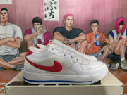 Nike Low-Top Sneakers White Red and Blue