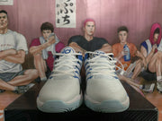 Nike LeBron Basketball Shoes White Blue